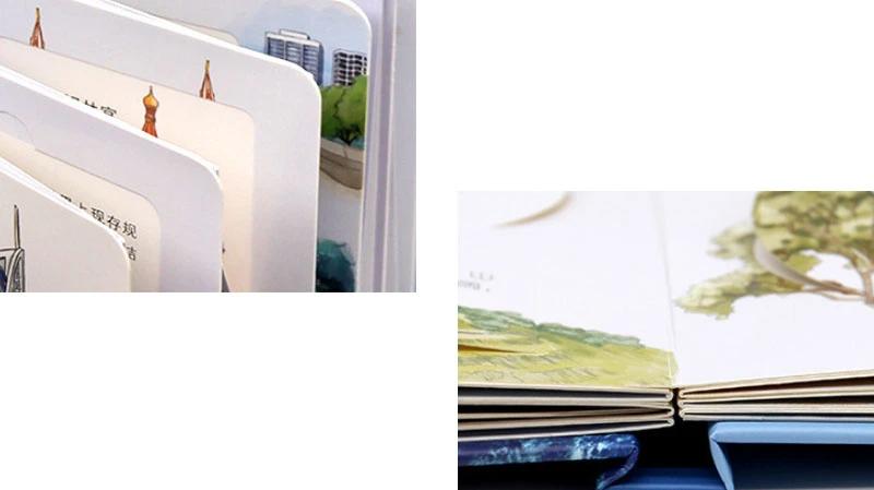 product-800-449 product-800-449